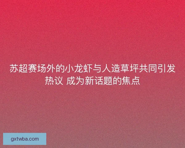 苏超赛场外的小龙虾与人造草坪共同引发热议 成为新话题的焦点 苏超赛场外的小龙虾与人造草坪共同引发热议 成为新话题的焦点